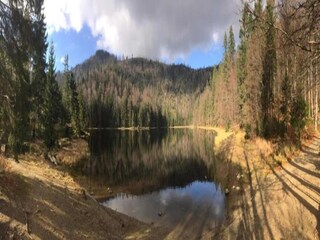 Vakantiehuis Konzell Omgeving 32