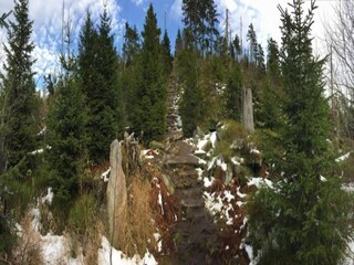 Ferienhaus Konzell Umgebung 37