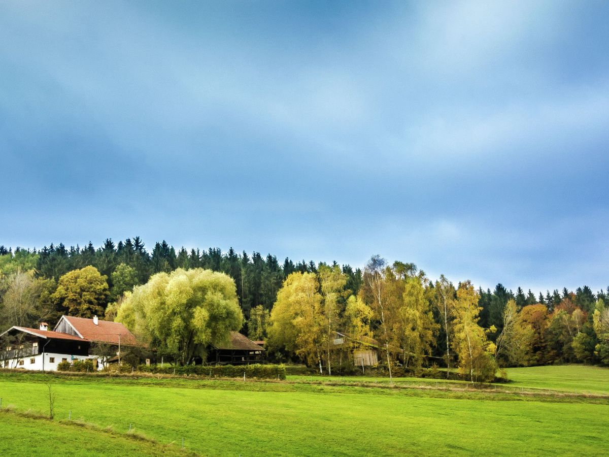 Ferienhaus Konzell Außenaufnahme 1