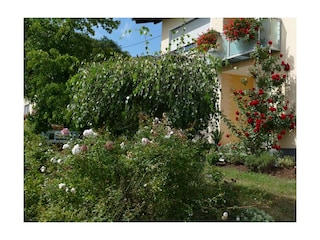 Ferienwohnung St. Wendel Außenaufnahme 1