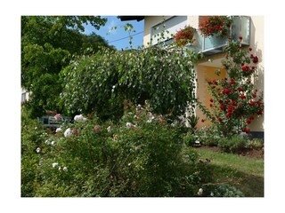 Ferienwohnung St. Wendel Außenaufnahme 2