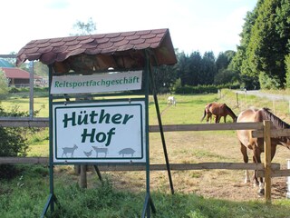 Reiterhof