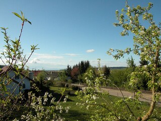 Blick vom Balkon auf die ruhige Anliegerstraße