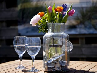 Appartamento per vacanze Callantsoog Registrazione all'aperto 4