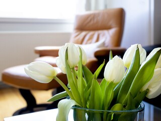 Appartamento per vacanze Callantsoog Caratteristiche 9