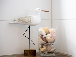 Appartamento per vacanze Callantsoog Caratteristiche 18