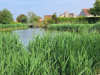 Vakantiehuis Breskens Buitenaudio-opname 13