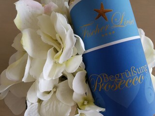 Appartement de vacances Buren Équipement 17