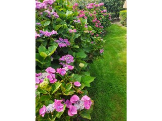 Vakantiehuis Callantsoog Buitenaudio-opname 7