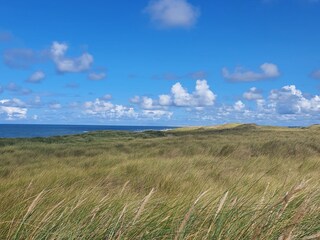 Vakantiehuis Callantsoog Omgeving 36