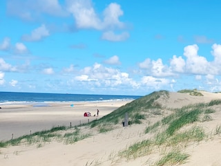Strand in Callantsoog