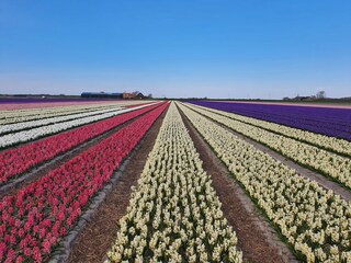 Vakantiehuis Callantsoog Omgeving 32