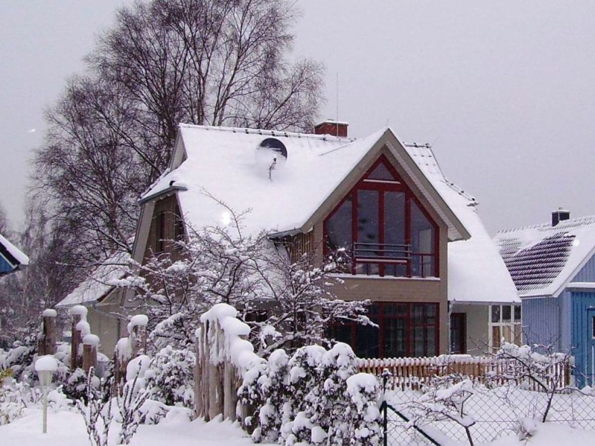 Birkenhus im Winter