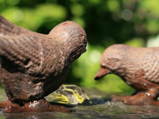 Maison de vacances Lindau am Bodensee Équipement 20