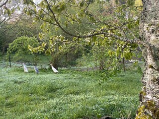 Tierparadis auch für uns Menschen