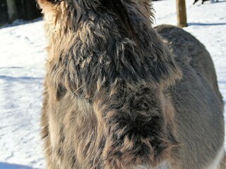 Filou im Blick