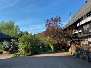 Hof Freifläche