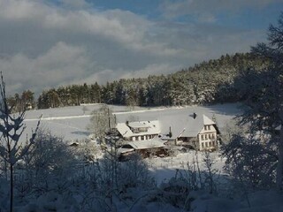 Winter vom Teich her