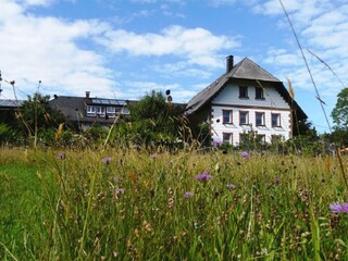 Unser Biolandferienhof in reiner Natur