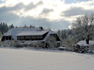 Hof im Winter