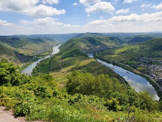 Die Moselschleife bei Bremm