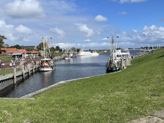 Ferienhaus Greetsiel Umgebung 30