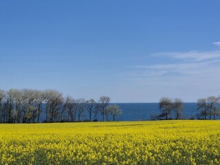 Blick vom Haus auf das Meer