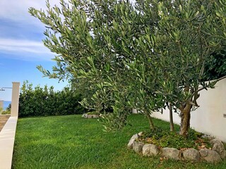 Casa de vacaciones Makarska Grabación al aire libre 22