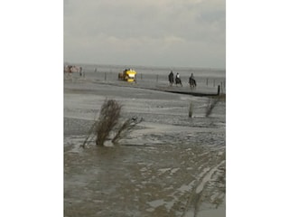 Kutschfahrt Cuxhaven/Neuwerk