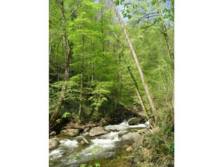 Appartamento per vacanze Deutschlandsberg Ambiente 15