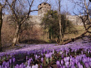Appartamento per vacanze Deutschlandsberg Ambiente 16