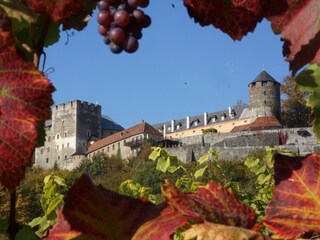 Appartamento per vacanze Deutschlandsberg Ambiente 19