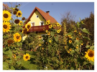 Appartamento per vacanze Deutschlandsberg Registrazione all'aperto 8