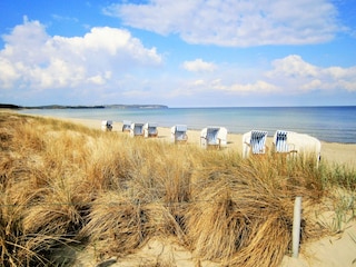 Ferienwohnung Göhren Umgebung 26