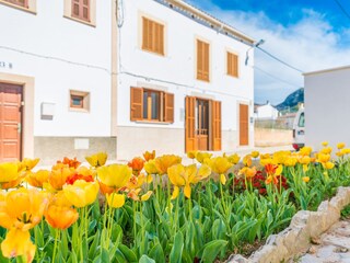 Apartamento Colonia de Sant Pere Grabación al aire libre 11