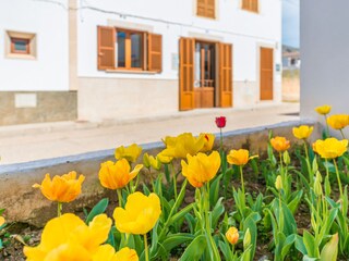 Apartamento Colonia de Sant Pere Grabación al aire libre 12