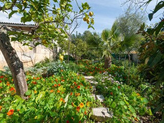 Villa Mancor de la Vall Grabación al aire libre 26