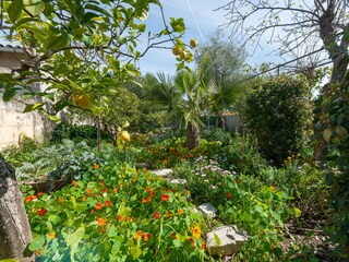 Villa Mancor de la Vall Enregistrement extérieur 8