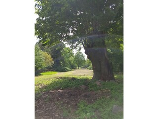 ehemaliger Gutspark Klein Breesen