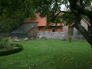 Gartenansicht mit Gewächshaus