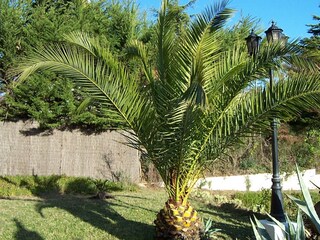 Casa per le vacanze Platja d'Aro Ambiente 10