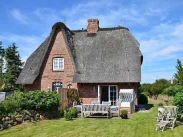 Ferienhaus Daanshoog