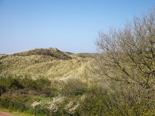 Gartenblick