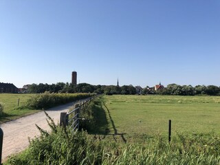 Radweg durch die Wiesen