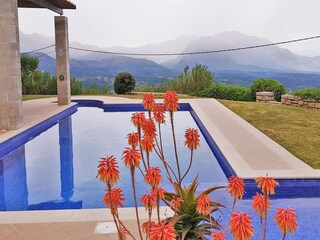 Villa Kastellos Registrazione all'aperto 3