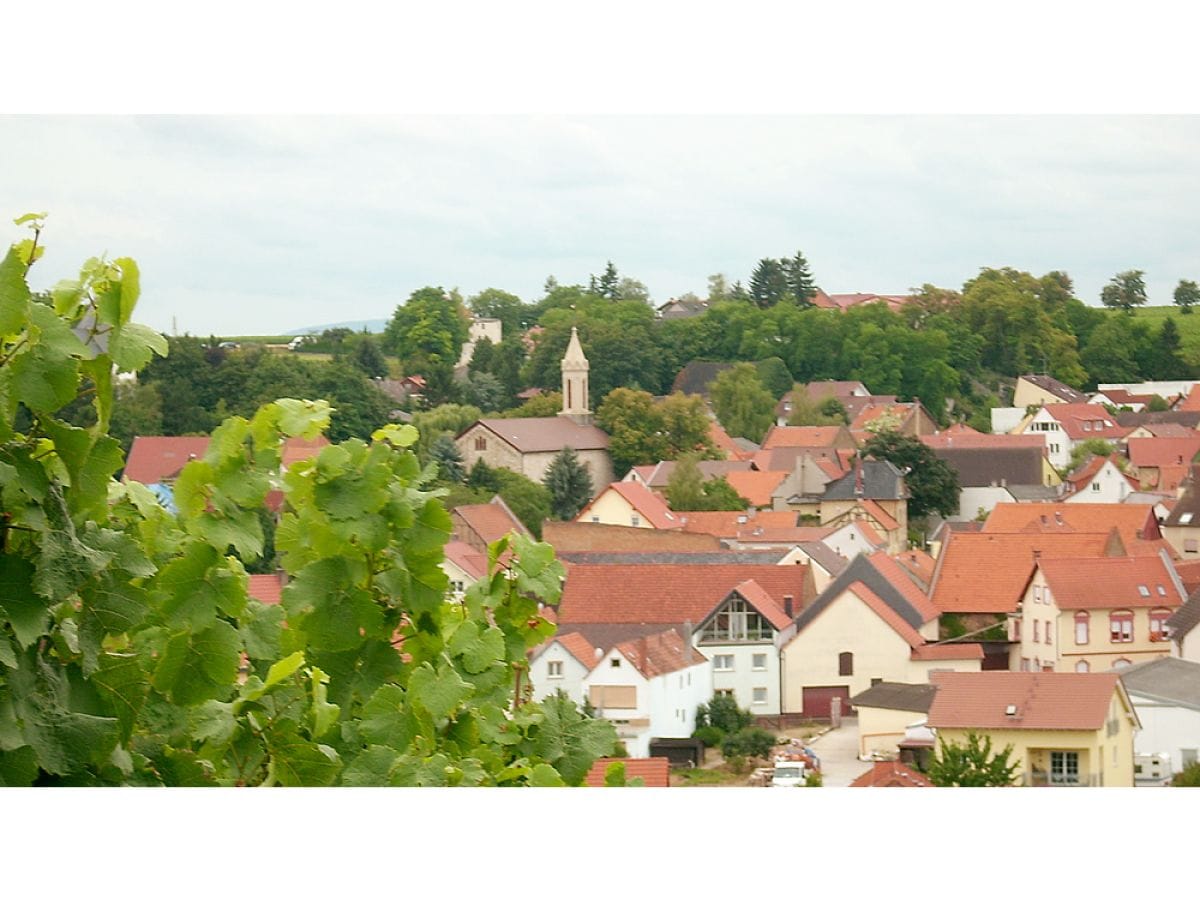 Blick auf Schornsheim