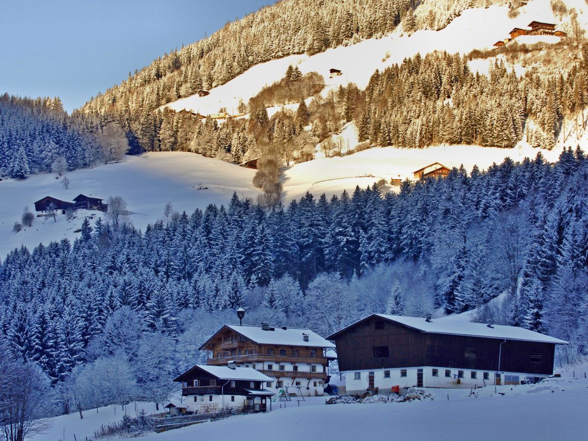 Single frauen pinzgau