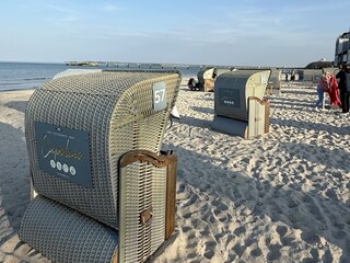 Seemöwe-Strandkorb bei Capolino (300m)