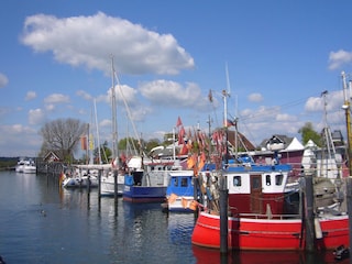 Der Niendorfer Hafen - hier gibts frischen Fisch