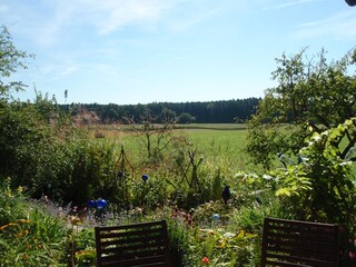 Blick von der Terrasse